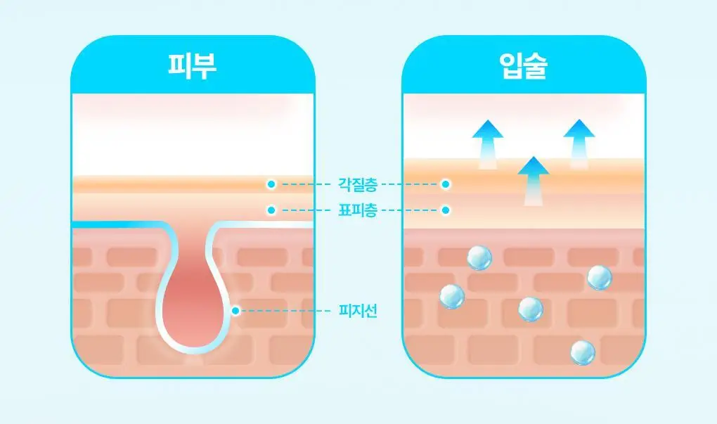 [2025어워즈] 브링그린 대나무 히알루 립 에센스 (2입/4입/기획) 상세페이지 13